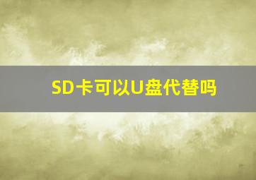 SD卡可以U盘代替吗