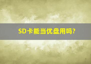 SD卡能当优盘用吗?