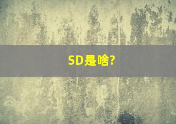 SD是啥?