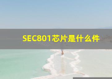 SEC801芯片是什么件