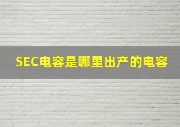 SEC电容是哪里出产的电容