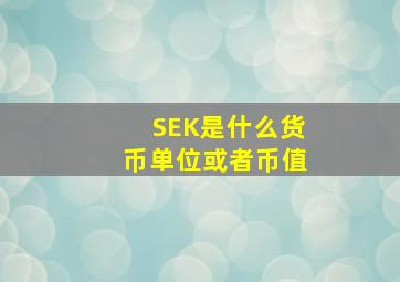 SEK是什么货币单位,或者币值