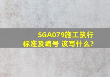 SGA079施工执行标准及编号 该写什么?
