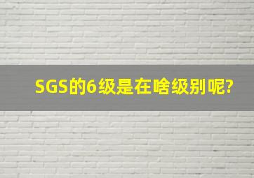 SGS的6级是在啥级别呢?