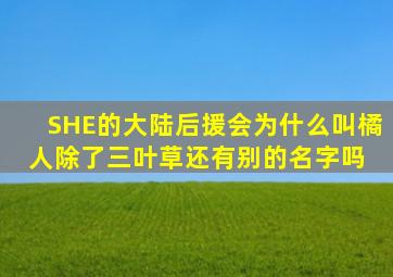 SHE的大陆后援会为什么叫橘人,除了三叶草还有别的名字吗 