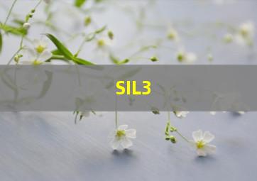 SIL3