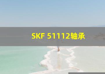 SKF 51112轴承 