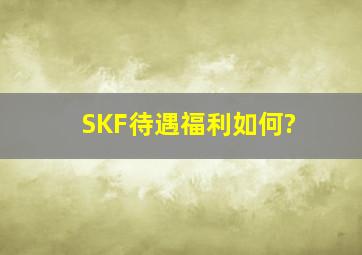 SKF待遇福利如何?