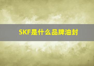SKF是什么品牌油封