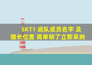 SKT1 战队成员名字 及 擅长位置 简单明了立即采纳