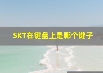 SKT在键盘上是哪个键子