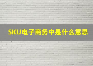 SKU电子商务中是什么意思