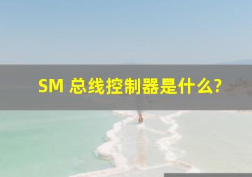 SM 总线控制器是什么?