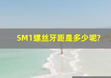 SM1螺丝牙距是多少呢?