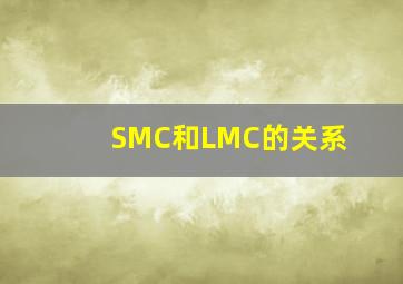 SMC和LMC的关系