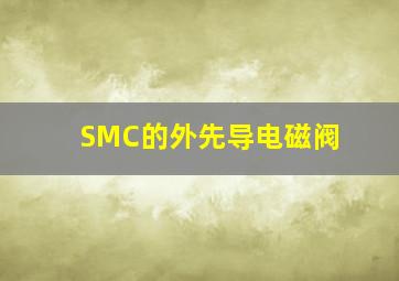 SMC的外先导电磁阀