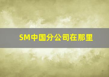 SM中国分公司在那里