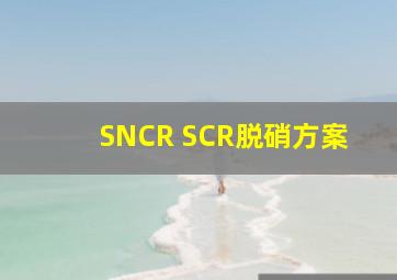 SNCR SCR脱硝方案