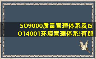 SO9000质量管理体系及ISO14001环境管理体系!有那位能帮我讲它们