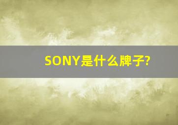 SONY是什么牌子?