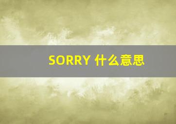 SORRY 什么意思