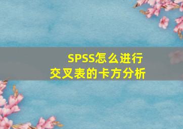 SPSS怎么进行交叉表的卡方分析(