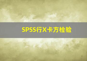 SPSS行X卡方检验