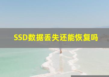 SSD数据丢失还能恢复吗