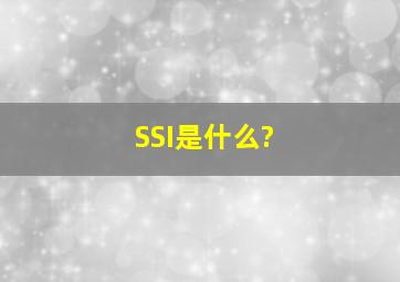 SSI是什么?