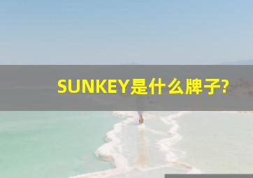 SUNKEY是什么牌子?