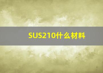 SUS210什么材料