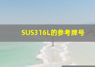 SUS316L的参考牌号