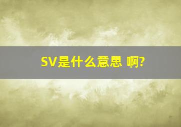 SV是什么意思 啊?