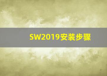 SW2019安装步骤