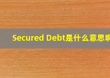 Secured Debt是什么意思啊?