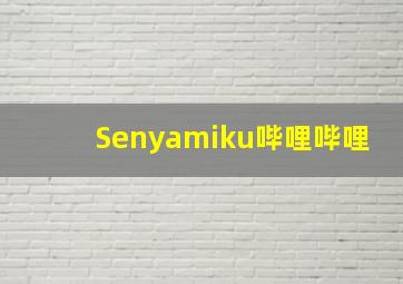 Senyamiku哔哩哔哩