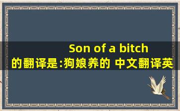 Son of a bitch 的翻译是:狗娘养的 中文翻译英文意思,翻译英语