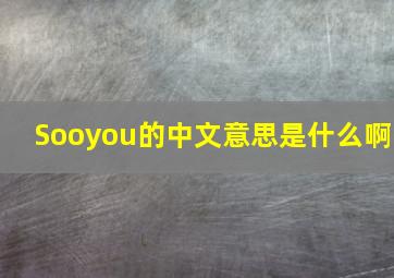 Sooyou的中文意思是什么啊(