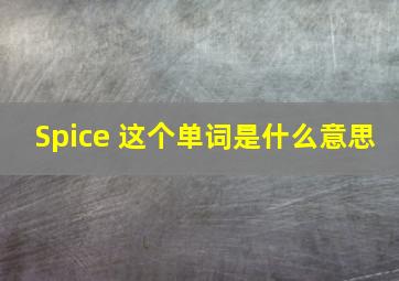 Spice 这个单词是什么意思