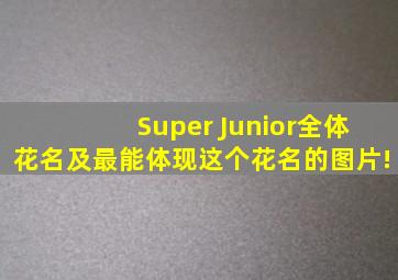 Super Junior全体花名,及最能体现这个花名的图片!