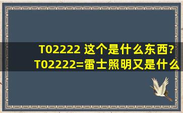 T02222 这个是什么东西?T02222=雷士照明又是什么意思?