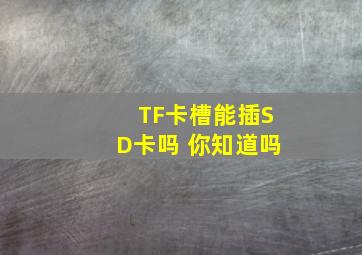 TF卡槽能插SD卡吗 你知道吗