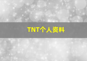 TNT个人资料