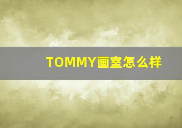 TOMMY画室怎么样