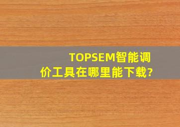 TOPSEM智能调价工具在哪里能下载?