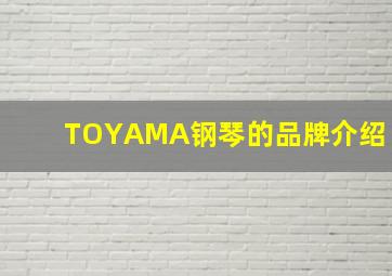 TOYAMA钢琴的品牌介绍