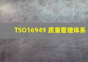 TSO16949 质量管理体系