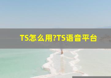 TS怎么用?TS语音平台