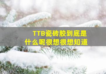 TTB瓷砖胶到底是什么呢(很想很想知道、、