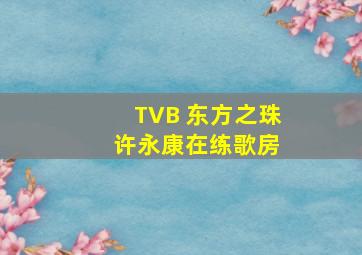 TVB 东方之珠 许永康在练歌房